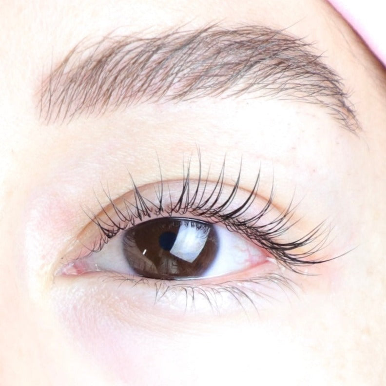 Lash